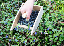 Load image into Gallery viewer, Berry Picker