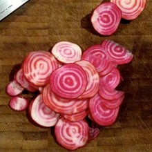 Load image into Gallery viewer, Beet Chiogga Guardsmark