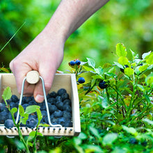 Load image into Gallery viewer, Berry Picker