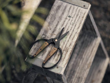 Load image into Gallery viewer, Garden Scissors - Small