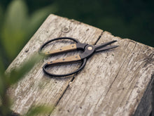 Load image into Gallery viewer, Garden Scissors - Small