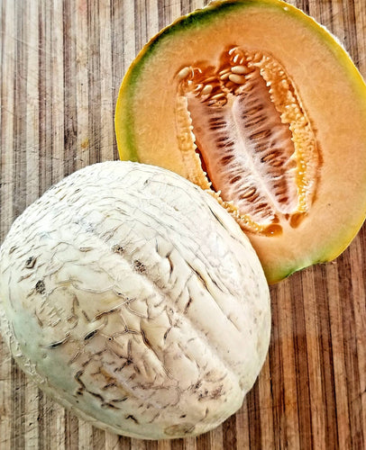 Melon Amish Melon (Cantaloupe Type)