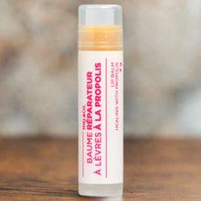 Load image into Gallery viewer, Honey and Propolis Lip Balm