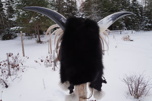 Shaman Head Piece